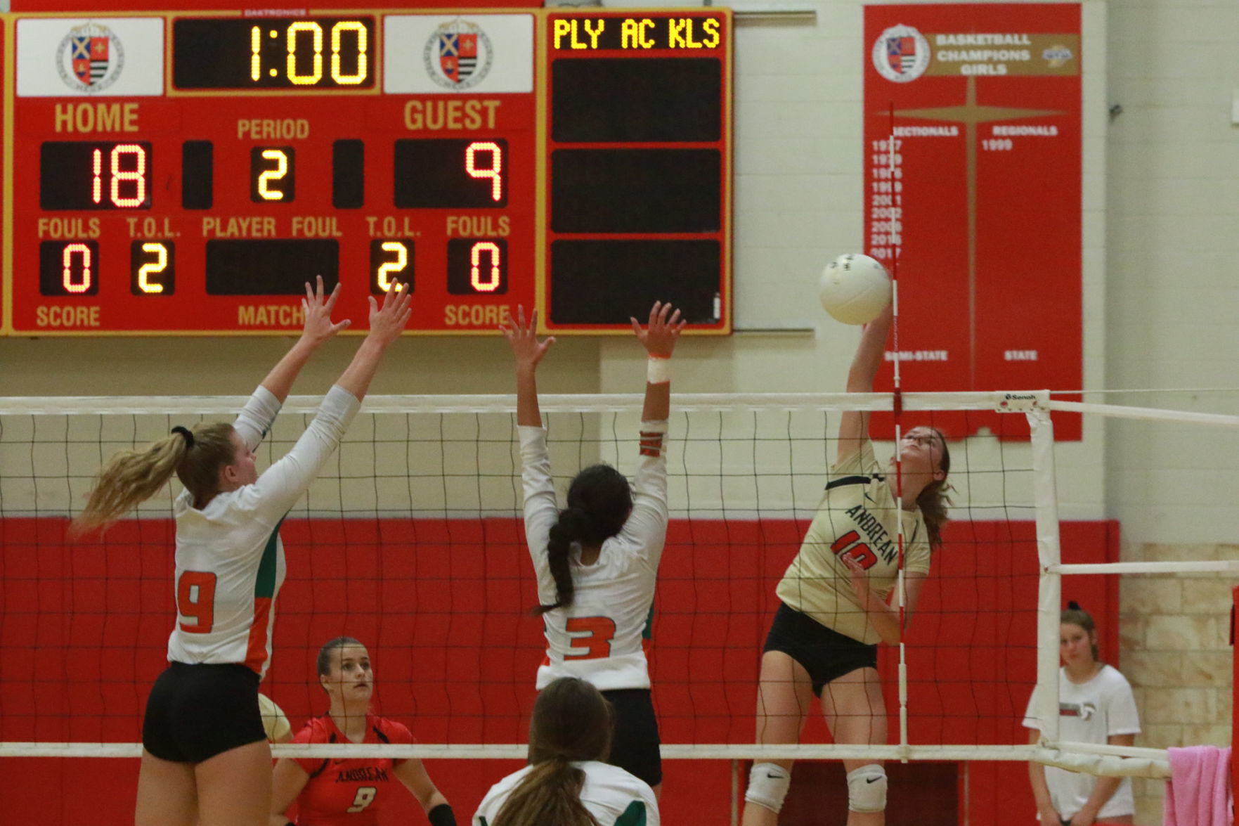 Gallery: Girls volleyball - Wheeler at Andrean